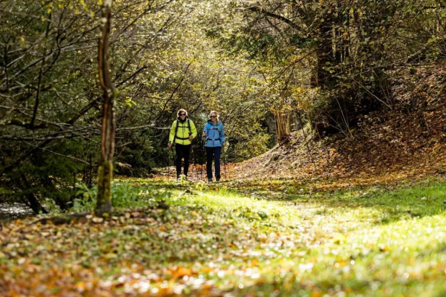 Uomo CMP Pantaloni Trekking^Pantaloni da uomo in poliestere elasticizzato