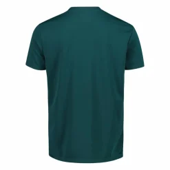 Uomo CMP Polo E T-Shirt^T-shirt a tinta unita da uomo